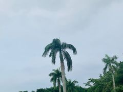 -万绿园