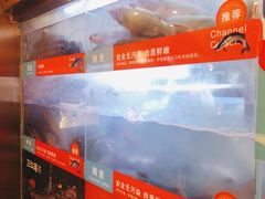 -三江源活鱼现烤(维多利摩尔城店)