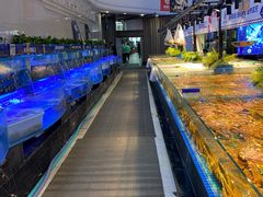 -驻海渔市(置信店)