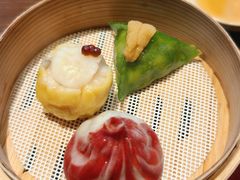 -随堂里