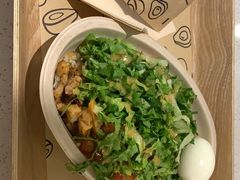 -油梨树 AVOCADO TREE(亮马桥店)