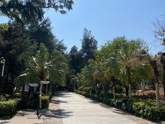 -宋井风景区