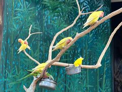 -辛玛王国游乐园