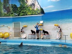 -尼莫海豚馆