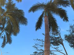 -创味·民间海南菜·非遗藤桥排骨(藤桥·免税城店)