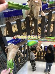 -未来动物城动物主题公园(大悦城店)