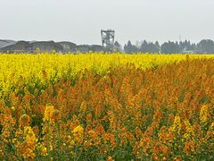 -中国天府农业博览园