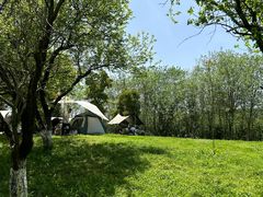 -白鹭湾湿地公园