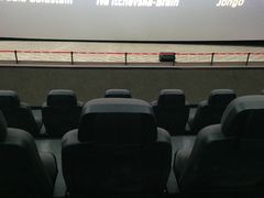 -天幕新彩云国际影城(激光巨幕店)