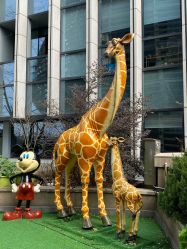 -可可天空农场(中大店)