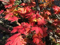 -丹东天桥沟景区