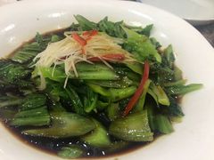 -陇菜和盛祥(金轮宾馆店)