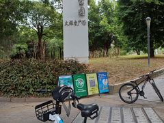 -福田红树林生态公园