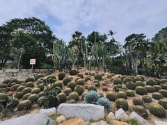 -胡里山炮台