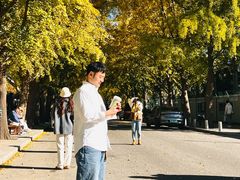 -三里屯东五街银杏大道