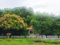 -晓港公园