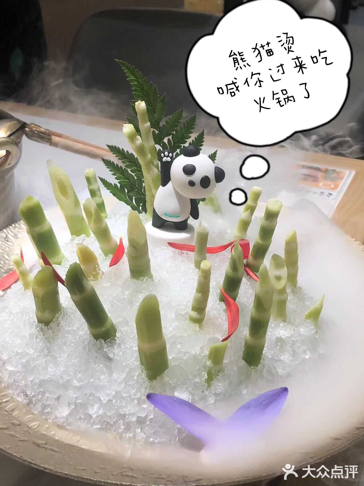🐼🐼🐼熊猫烫🔥喊你过来吃火锅啦