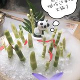 🐼🐼🐼熊猫烫🔥喊你过来吃火锅啦