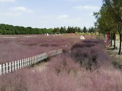 -嘉北郊野公园
