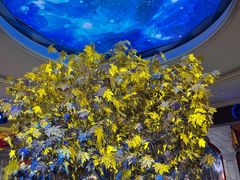 -大自然花鸟鱼虫市场