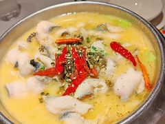 -Aqua Oasis 水天堂(石路天虹店)