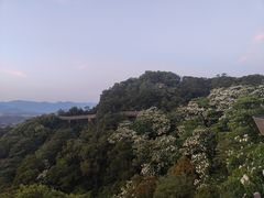 -福道