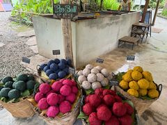 -大象粑粑造纸公园