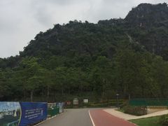 -南宁花花大世界景区