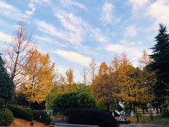 -月湖风景区
