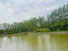 -杨柳青庄园