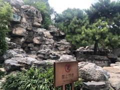 -团结湖公园