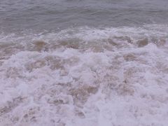 -鼓歌海鲜舫·手抓海鲜(大学城店)
