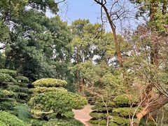 -南山植物园