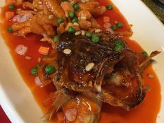 -碧丽宫大酒店(召稼楼店)