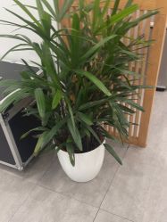 -和颜一美轻医美连锁