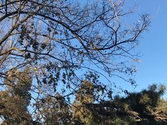 -香山公园-东宫门售票处