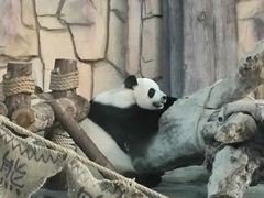 -泉州海丝野生动物世界