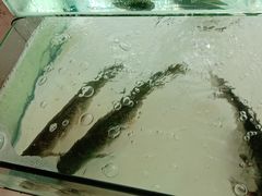 -广客美食坊(丹霞山店)