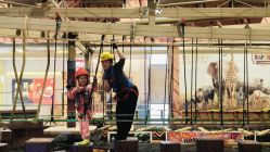 -卡通尼·Safari非洲探索乐园·生日会(金桥国际商业广场店)