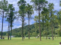 -柯岩风景区