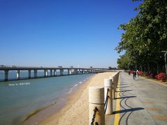 -演武大桥观景平台