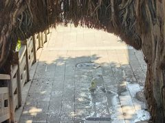 -乌山风景区