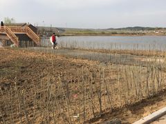 -鴜鹭湖生态旅游度假区