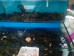-港畔赶海蒸汽海鲜烧烤自助(仙螺岛店)
