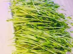 -美姿水荟美食水疗