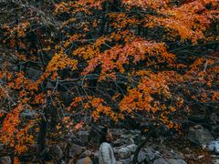 -崂山九水游览区