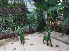 -北京植物园-展览温室