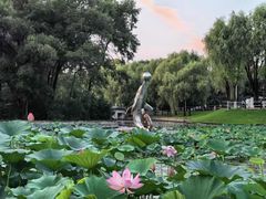 -平房公园