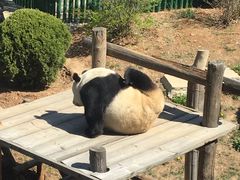 -大连森林动物园