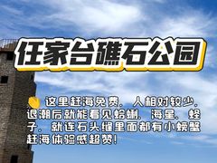 -日照海滨国家森林公园